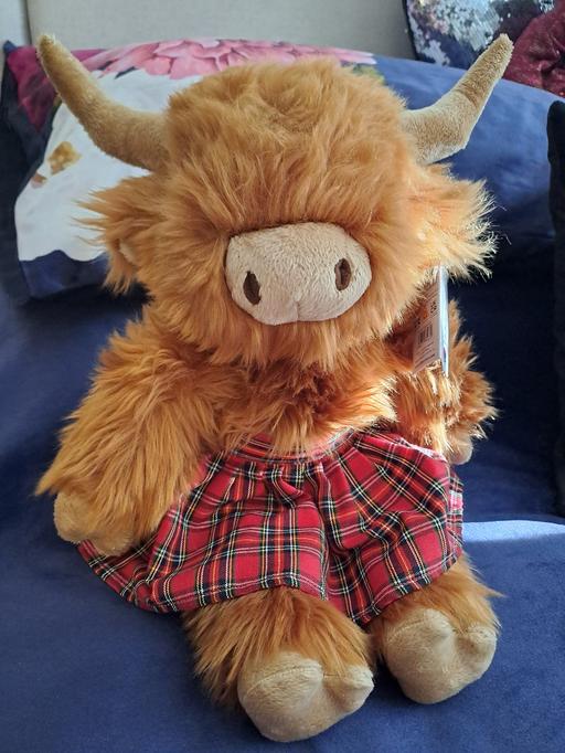 Buy & Sell Park Hill Sheffield - Photos for highland cow new