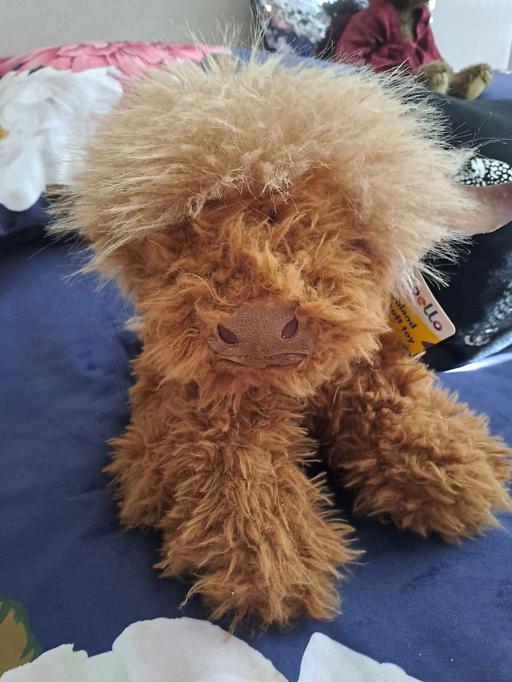 Buy & Sell Park Hill Sheffield - Photos for fluff highland cow