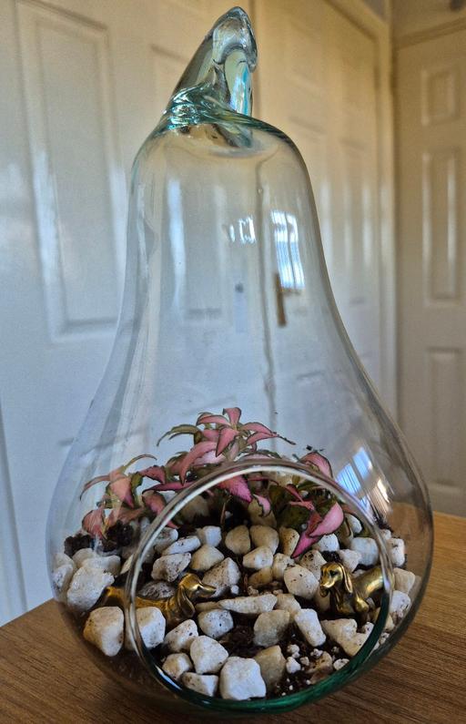 Buy & Sell Hixon Stafford - Photos for Mini Terrarium Pink Plant & Dog Figurines