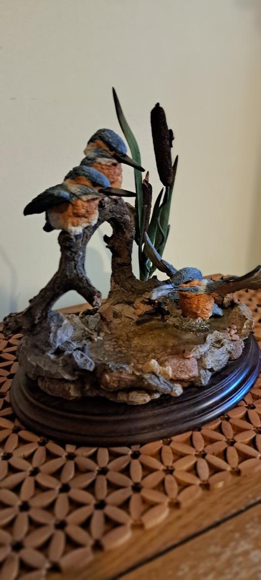 Buy & Sell Stourbridge Dudley - Photos for 'Kingfishers - WatersEdge'