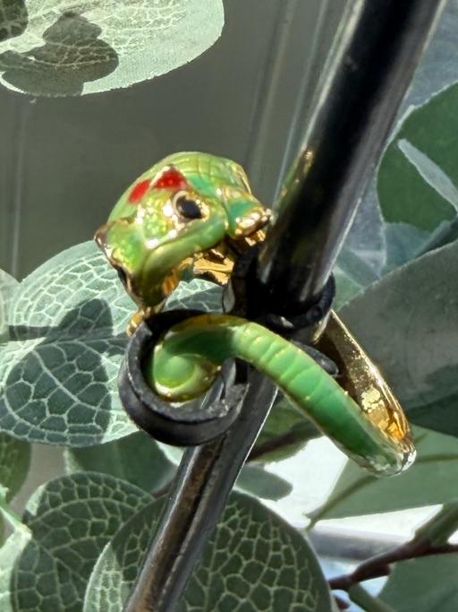 Buy & Sell Ocean Village Southampton - Photos for Unusual chameleon ring