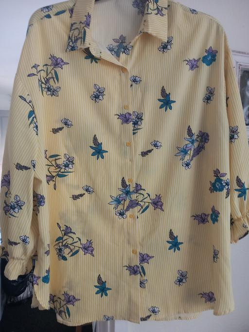 Buy & Sell Chapeltown Sheffield - Photos for lemon strip shirt size 20/22