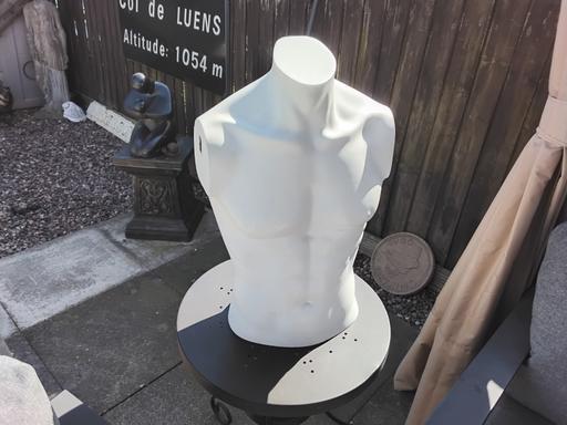 Buy & Sell Sheldon Birmingham - Photos for mannequin male full body torso vinted cool