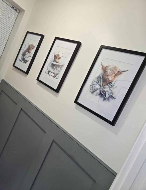 Buy & Sell Marton-in-Cleveland Middlesbrough - Photos for highland cow wall art decor