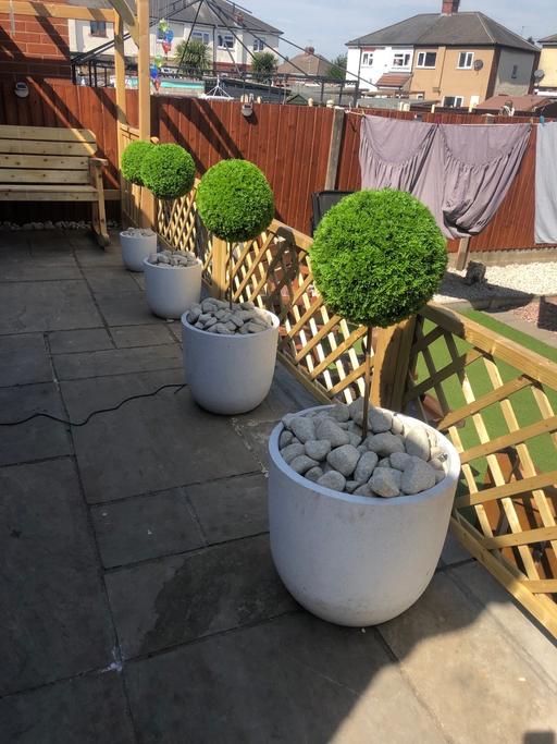 Buy & Sell Princes End Sandwell - Photos for 4 garden ceramic pots xl l m s 4 sizes new