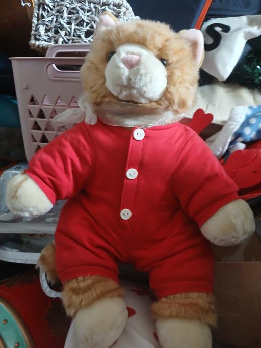 Buy & Sell Netherton Dudley - Photos for nice fluffy cat new con meows