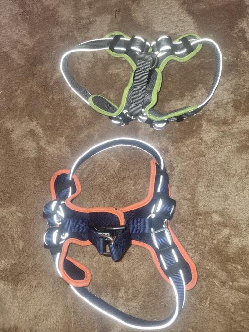 Buy & Sell Bournville Birmingham - Photos for 2 Small Dog Harnesses
