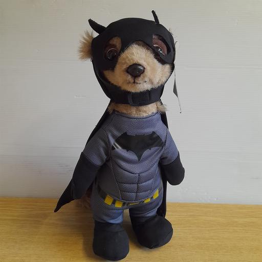 Buy & Sell Preston South Ribble - Photos for MEERKAT MOVIES - BATMAN