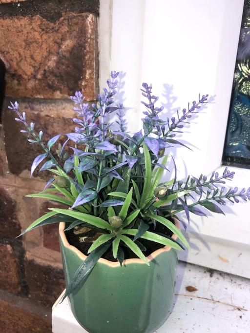 Buy & Sell Bilston Wolverhampton - Photos for Artificial plant