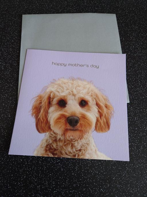 courses Woodthorpe Charnwood - Photos for Mother's day dog greeting card