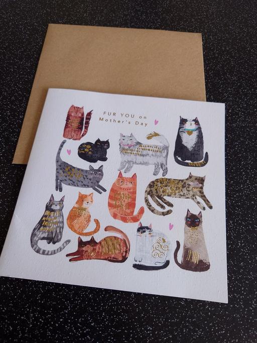 courses Woodthorpe Charnwood - Photos for Mother's day cat greeting card