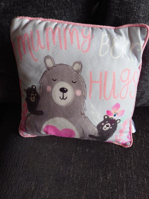 Buy & Sell Woodthorpe Charnwood - Photos for Mummy bear cushion