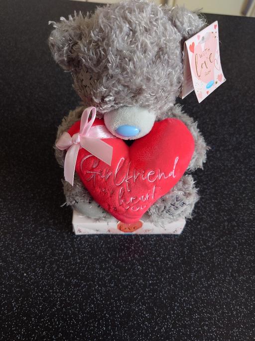 Buy & Sell Woodthorpe Charnwood - Photos for Girlfriend me to you bear soft toy