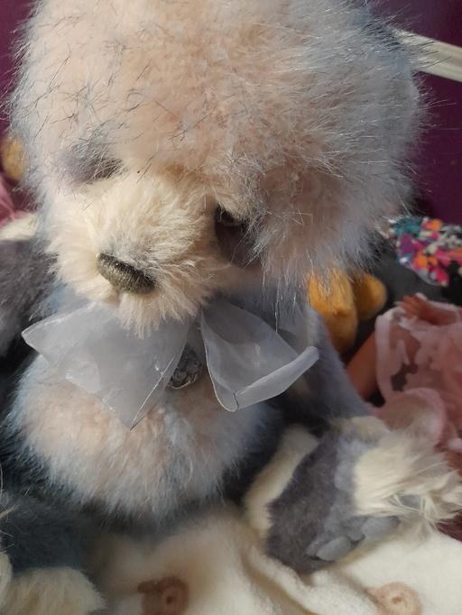 Buy & Sell Birstall Charnwood - Photos for Charlie bear