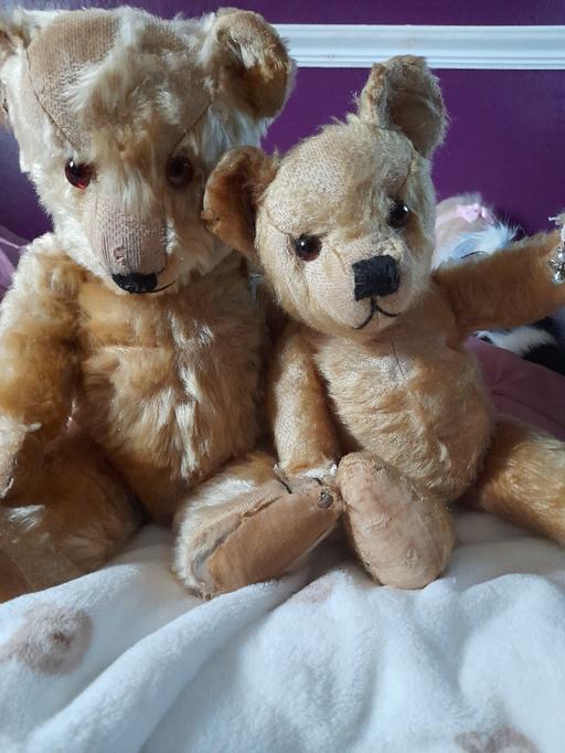 Buy & Sell Birstall Charnwood - Photos for teddy bears