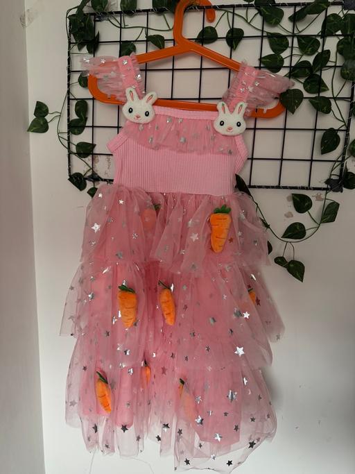 Buy & Sell Houghton Green Warrington - Photos for Costume dress for girls