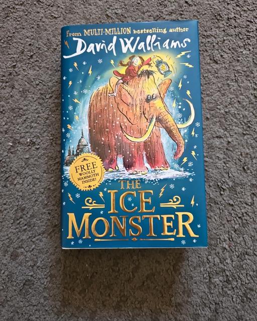 Buy & Sell Brockmoor Dudley - Photos for David Walliams, The Ice Monster Hardback Book