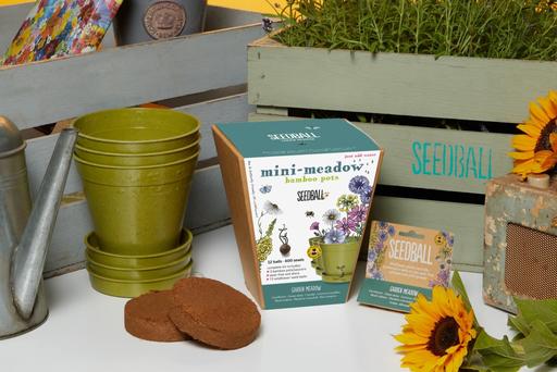 Buy & Sell Sidcup Bexley - Photos for Pack Of 3 Mini-Meadow Bamboo Pots