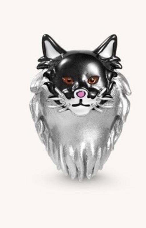Buy & Sell Hackenthorpe Sheffield - Photos for Silver charm Maine coon