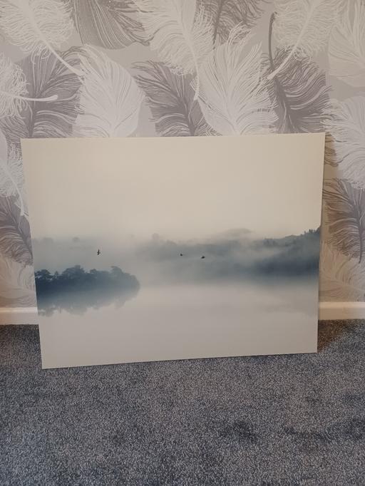 Buy & Sell Eckington North East Derbyshire - Photos for ikea large canvas picture