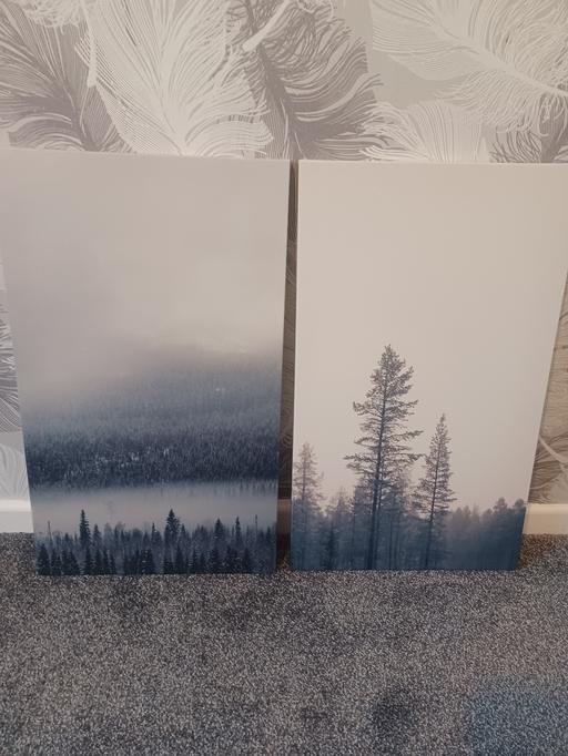 Buy & Sell Eckington North East Derbyshire - Photos for canvas pictures