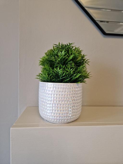 Buy & Sell Tintwistle High Peak - Photos for artificial plant in a ceramic pot