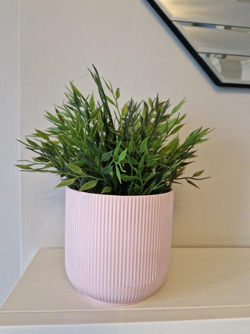 Buy & Sell Tintwistle High Peak - Photos for Artificial plant in a ceramic pot