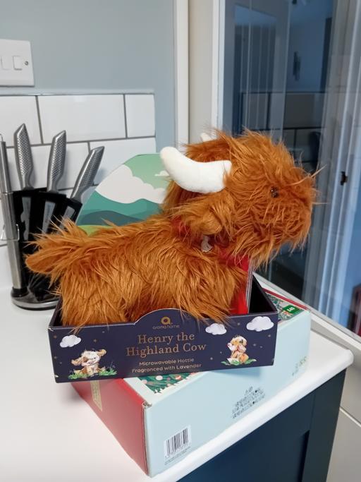 Buy & Sell Dudley Port Sandwell - Photos for Highland cow microwaveable hottie