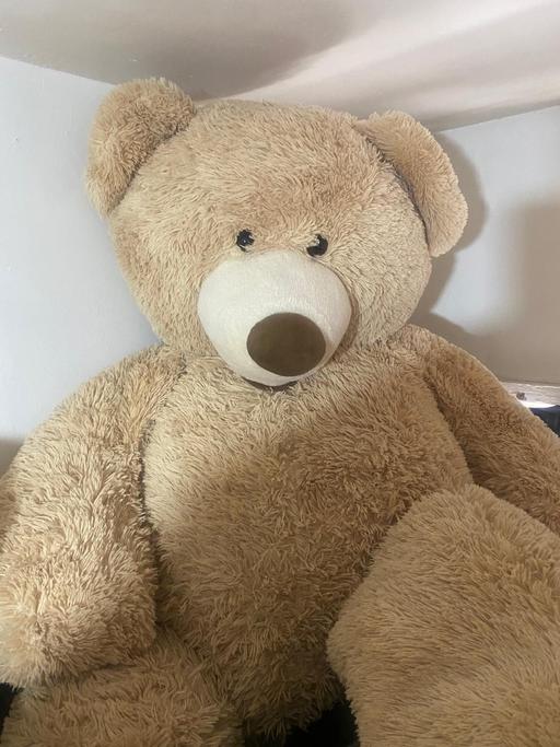 Buy & Sell Tyseley Birmingham - Photos for Human sized bear