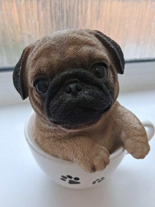 Buy & Sell Bredbury Stockport - Photos for cute pug in cup ornament