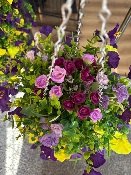 Buy & Sell Tarnock Somerset - Photos for Purple and yellow hanging basket handmade