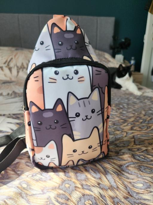 Buy & Sell Luton Bedfordshire - Photos for cute cat style crossbody cool messenger bag