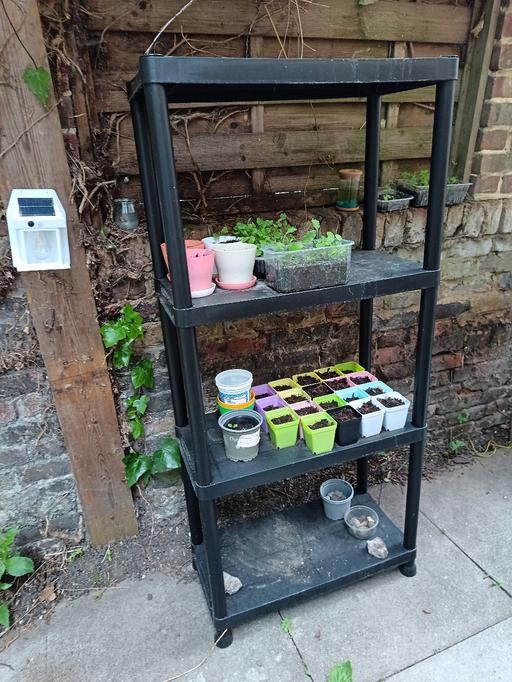 Buy & Sell Peckham South East London - Photos for 4 tier shelving (plants n pots not imcluded)