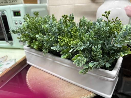 Buy & Sell Bartley Green Birmingham - Photos for Large artificial plant from Homesense