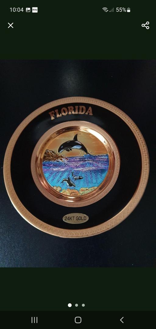 Buy & Sell Upper Gornal Dudley - Photos for florida ornamental plate