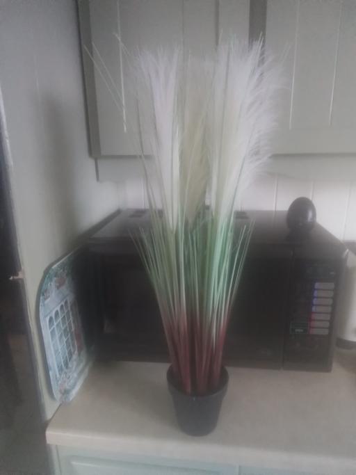 Buy & Sell Aldridge Walsall - Photos for ARTIFICAL PAMPER IN POT
