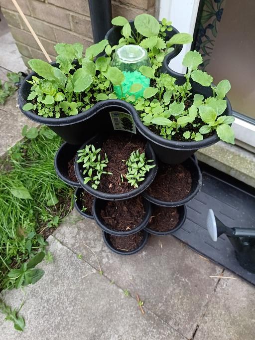 Buy & Sell Nunhead South East London - Photos for X5 tier stackable pots
