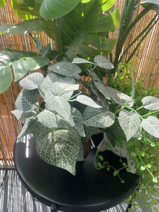 Buy & Sell Hoxton North London - Photos for Fake plant bundle