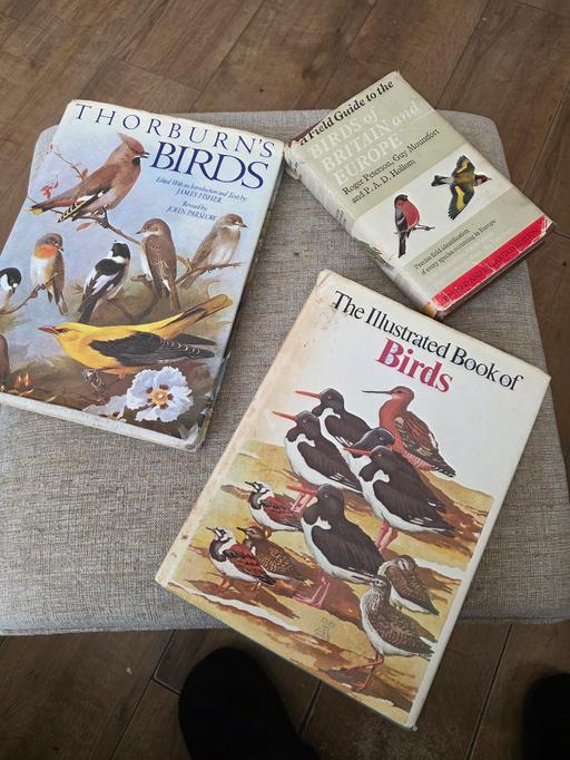 Buy & Sell Pensnett Dudley - Photos for 3 X BIRD BOOKS