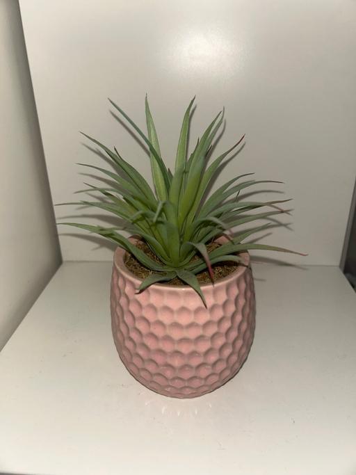Buy & Sell Teversal Ashfield - Photos for Pink bedroom decor