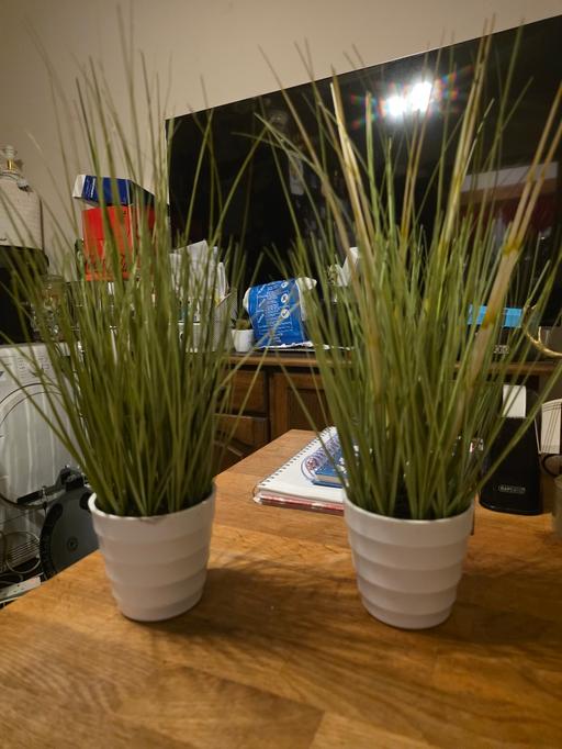 Buy & Sell Holly Hall Dudley - Photos for FAKE GRASS IN POTS X 2...15