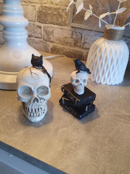 Buy & Sell Stainforth Doncaster - Photos for skull statues