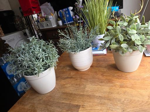 Buy & Sell Holly Hall Dudley - Photos for IKEA ARTIFICIAL PLANTS IN CERAMIC POTS X 3