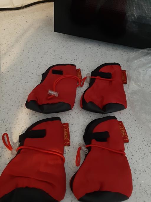 Buy & Sell South Hylton Sunderland - Photos for dog shoes