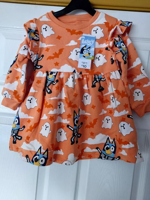 Buy & Sell Woodthorpe Charnwood - Photos for Girls bluey Halloween dress size 2-3 years