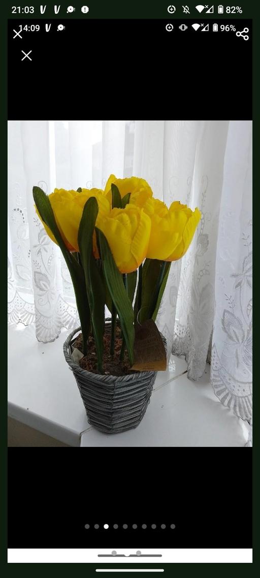 Buy & Sell Kings Norton Birmingham - Photos for House artificial plant