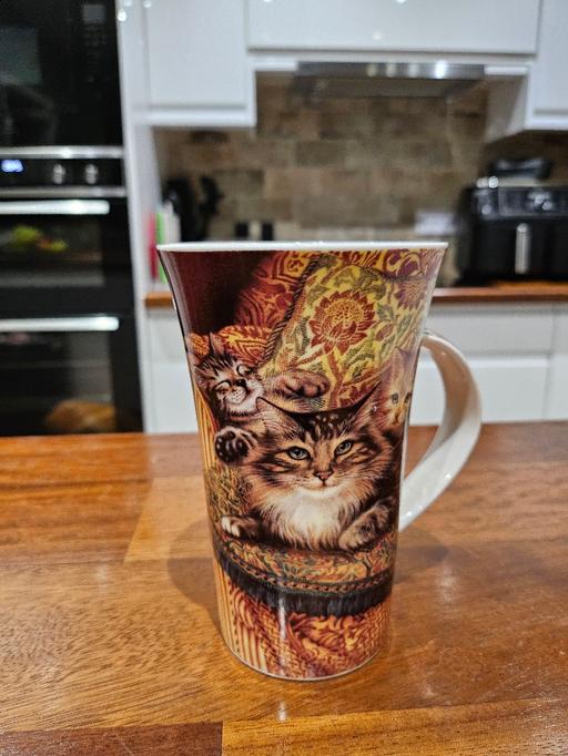 Buy & Sell Merry Hill Wolverhampton - Photos for Large bone china mug CATS