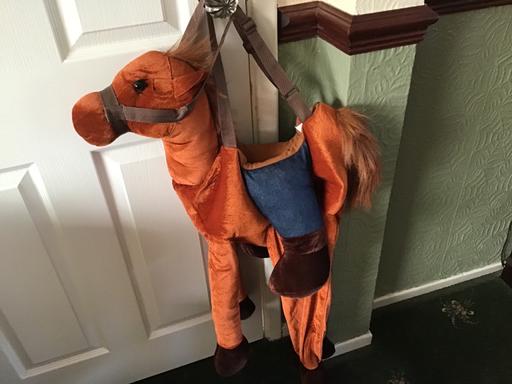 Buy & Sell Essington Wolverhampton - Photos for Horse dressing up for 5/7 years