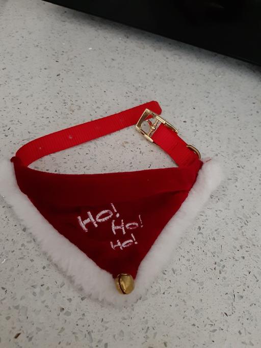 Buy & Sell South Hylton Sunderland - Photos for dog bandana