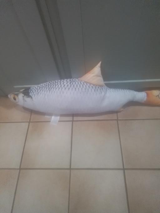 Buy & Sell Streetly Walsall - Photos for FISH CUSHION